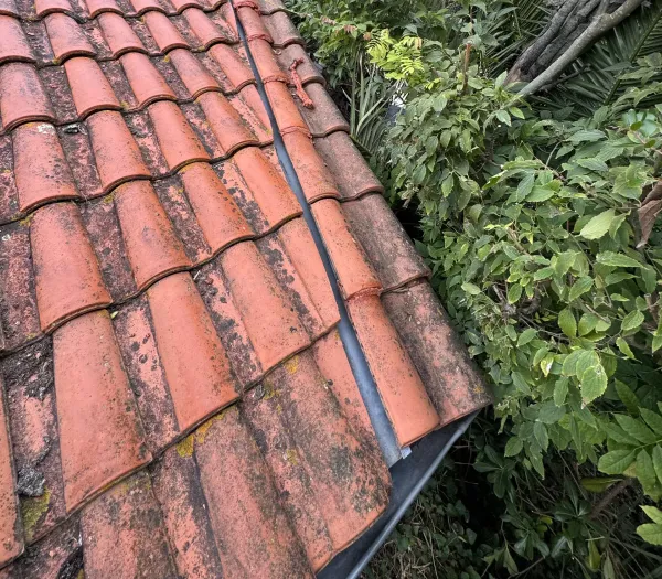 Mousse et lichens sur toiture avant démoussage — réalisation TBZ dans les Landes (40)